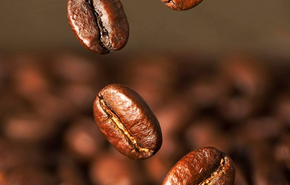 Understanding Coffee Beans: Arabica vs. Robusta