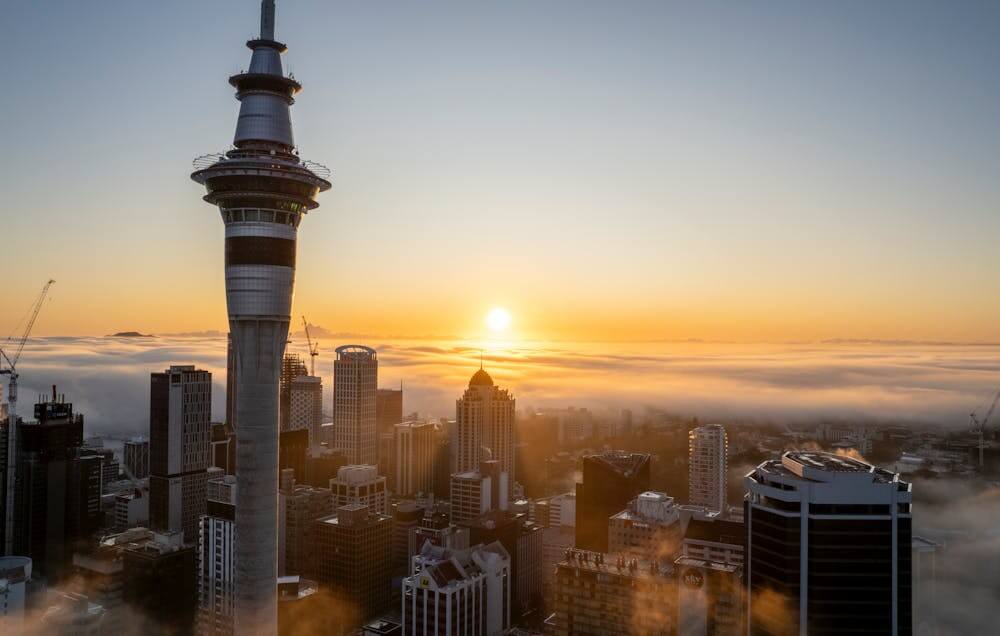 Auckland’s Hidden Coffee Gems: Off-the-Beaten-Path Cafes